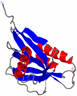 Image NMR Structure - model 1