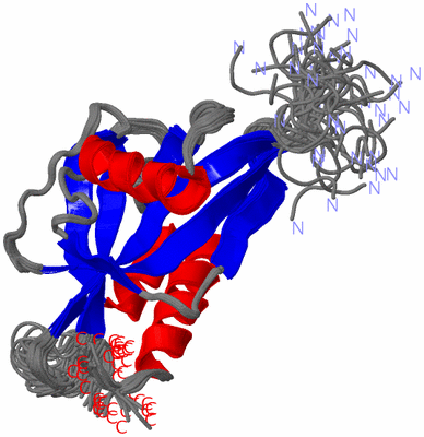 Image NMR Structure - all models