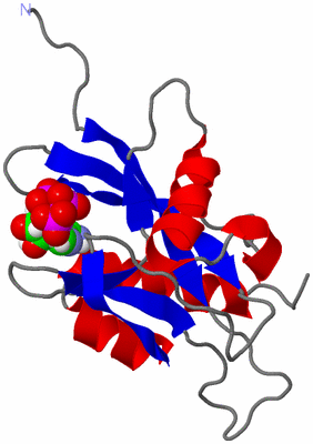 Image NMR Structure - model 1