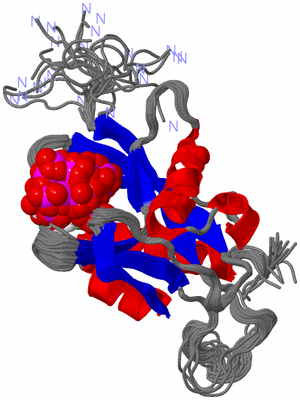 Image NMR Structure - all models