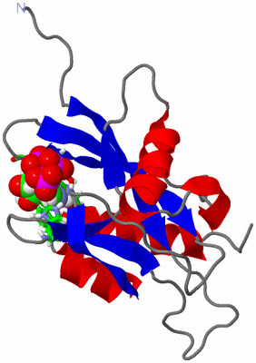 Image NMR Structure - model 1, sites