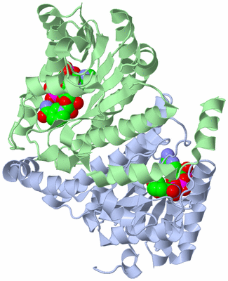 Image Asym./Biol. Unit