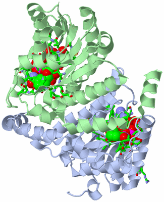 Image Asym./Biol. Unit - sites