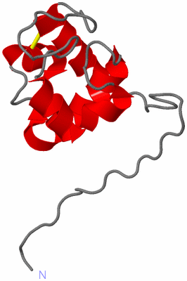 Image NMR Structure - model 1