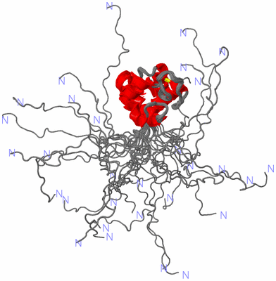 Image NMR Structure - all models