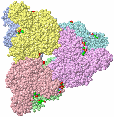 Image Asym./Biol. Unit - sites