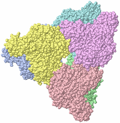 Image Asym./Biol. Unit