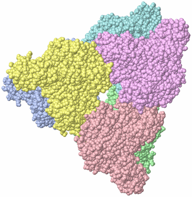 Image Asym./Biol. Unit - sites