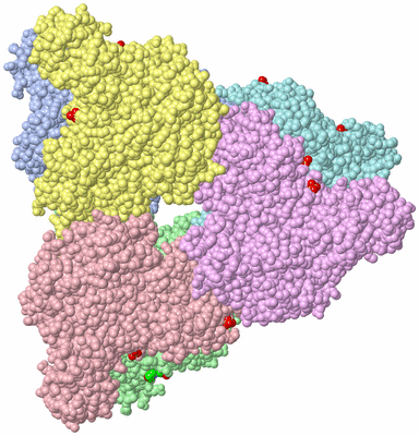 Image Asym./Biol. Unit