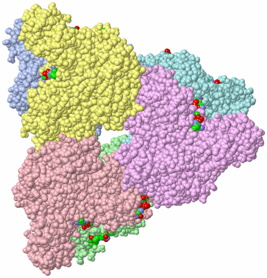 Image Asym./Biol. Unit - sites