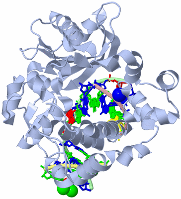 Image Biological Unit 1