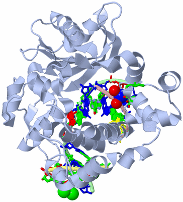 Image Biol. Unit 1 - sites