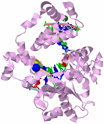 Image Biological Unit 2