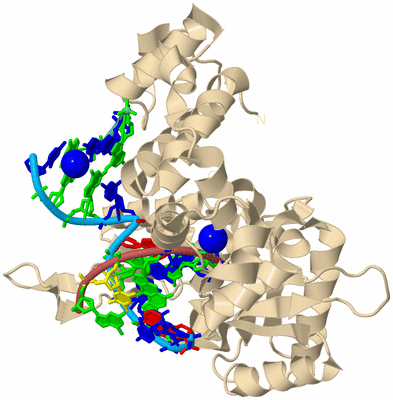 Image Biological Unit 3