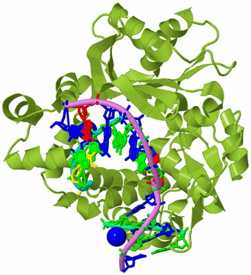 Image Biological Unit 4