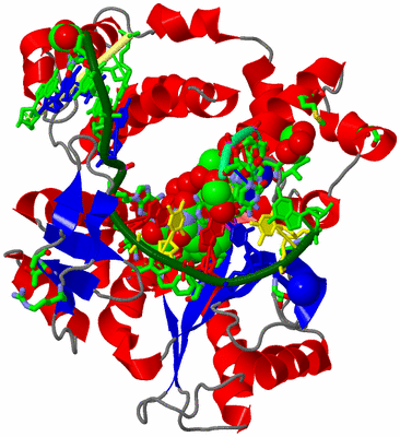 Image Asym./Biol. Unit - sites