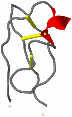 Image Asymmetric Unit