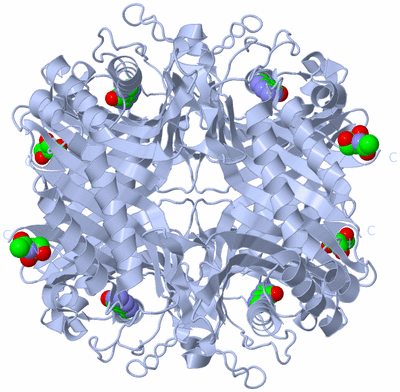 Image Biological Unit 1