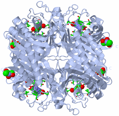 Image Biol. Unit 1 - sites