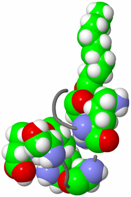 Image NMR Structure - model 1