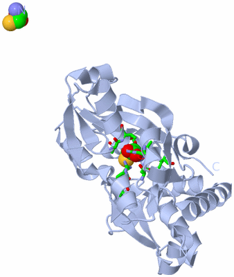 Image Biol. Unit 1 - sites