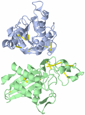 Image Asym./Biol. Unit