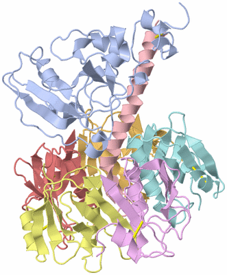 Image Asym./Biol. Unit