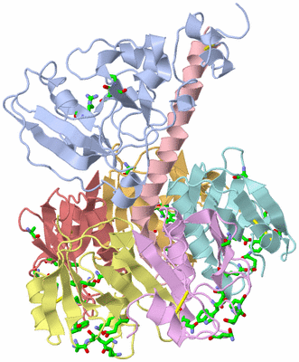 Image Asym./Biol. Unit - sites