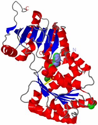 Image Asym./Biol. Unit