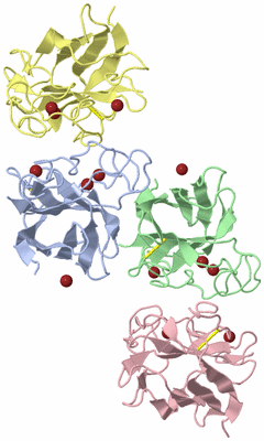 Image Biological Unit 1