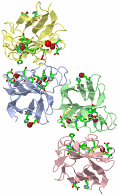 Image Biol. Unit 1 - sites