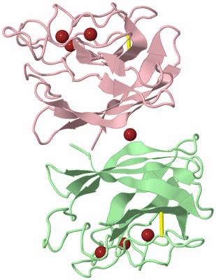 Image Biological Unit 2