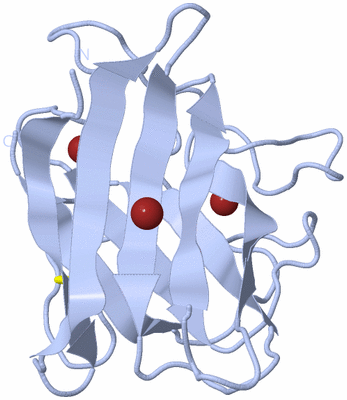 Image Biological Unit 3