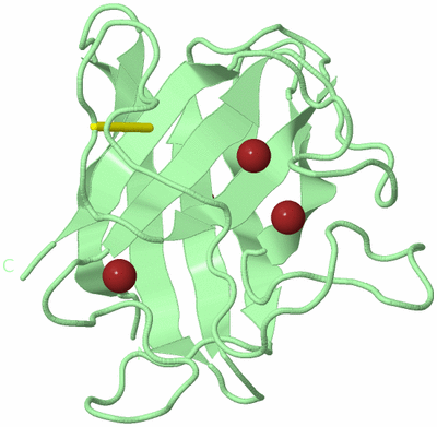 Image Biological Unit 4