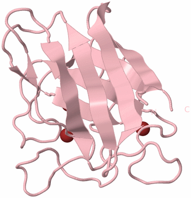 Image Biological Unit 5