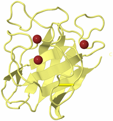 Image Biological Unit 6