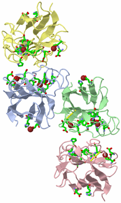 Image Asym. Unit - sites