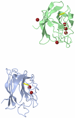 Image Asymmetric Unit