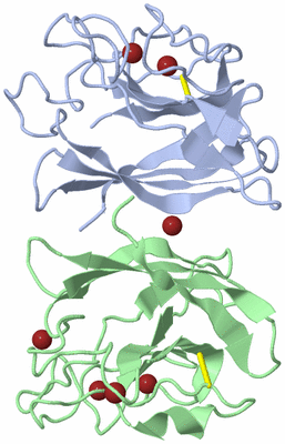 Image Biological Unit 1