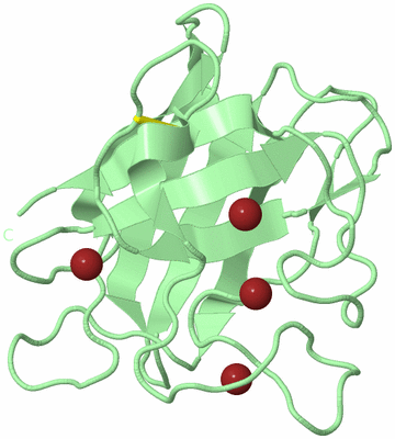 Image Biological Unit 3