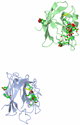 Image Asym. Unit - sites