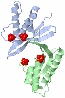 Image Asymmetric Unit