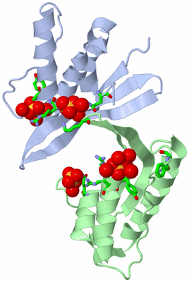 Image Asym. Unit - sites
