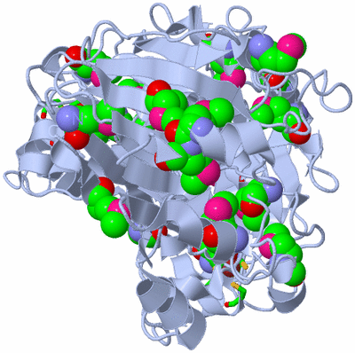 Image Biol. Unit 1 - sites