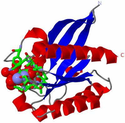 Image Asym./Biol. Unit - sites