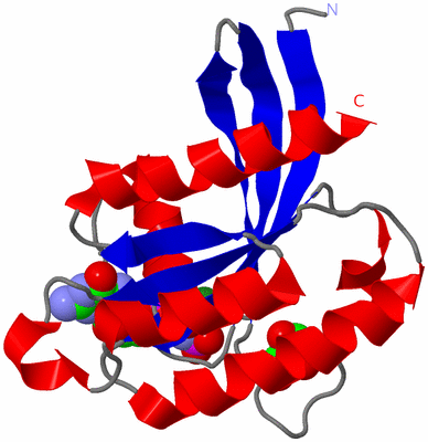 Image Asym./Biol. Unit