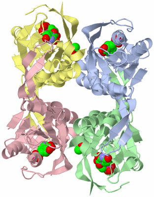 Image Asym./Biol. Unit