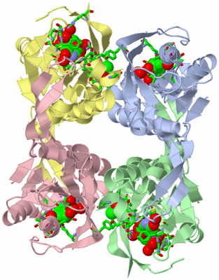 Image Asym./Biol. Unit - sites