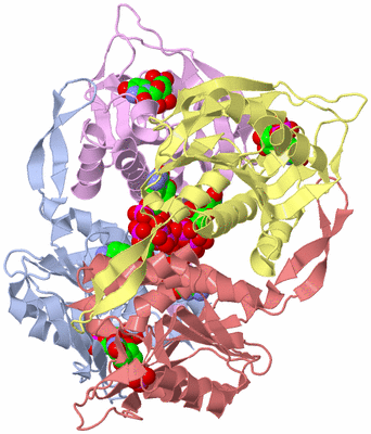 Image Biological Unit 1