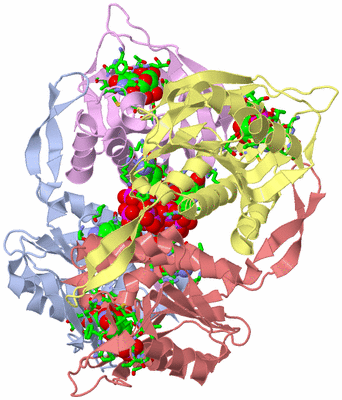 Image Biol. Unit 1 - sites